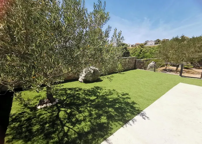 Olive Tree Apartment Zecevo